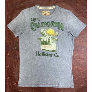 Hollister - HOLLISTER ホリスター Tシャツ メンズ