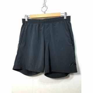 500591● THE NORTH FACE Voltage Short L (ショートパンツ)