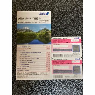 ANA 株主優待　2枚+グループ優待券　2024年上期(その他)