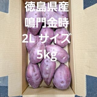 さつまいも　徳島県産鳴門金時2L サイズ5kg(野菜)