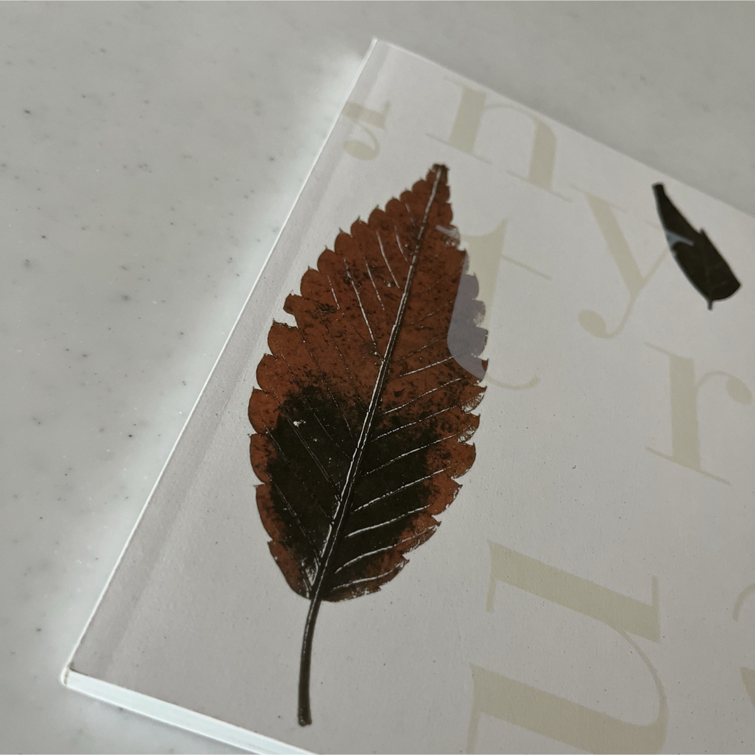 飛鳥 自然と人と 特別展図録　ジオグラフィー　歴史 エンタメ/ホビーの本(人文/社会)の商品写真