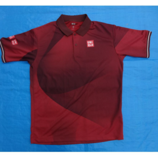 ユニクロ(UNIQLO)のユニクロテニス　ドライEXポロシャツ　錦織圭　Lサイズ　(ウェア)