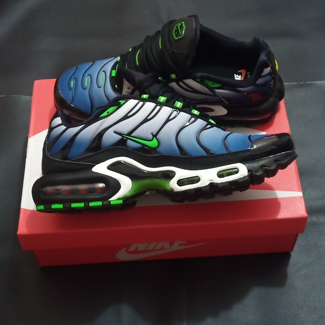 NIKE(ナイキ)の【28.0】NIKE AIR MAX PLUS メンズの靴/シューズ(スニーカー)の商品写真