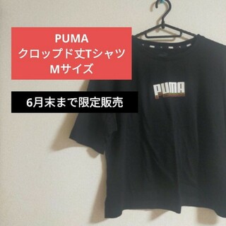 PUMA - PUMA レディース 半袖 Tシャツ クロップド丈 へそ出し