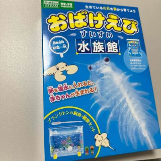 おばけえび　水族館(アクアリウム)