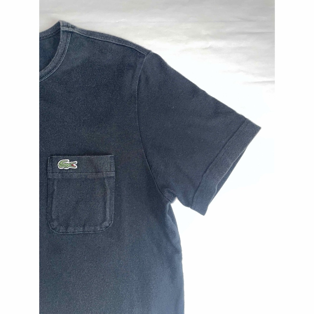 LACOSTE(ラコステ)の【美品】LACOSTE ラコステ  Tシャツ メンズのトップス(Tシャツ/カットソー(半袖/袖なし))の商品写真