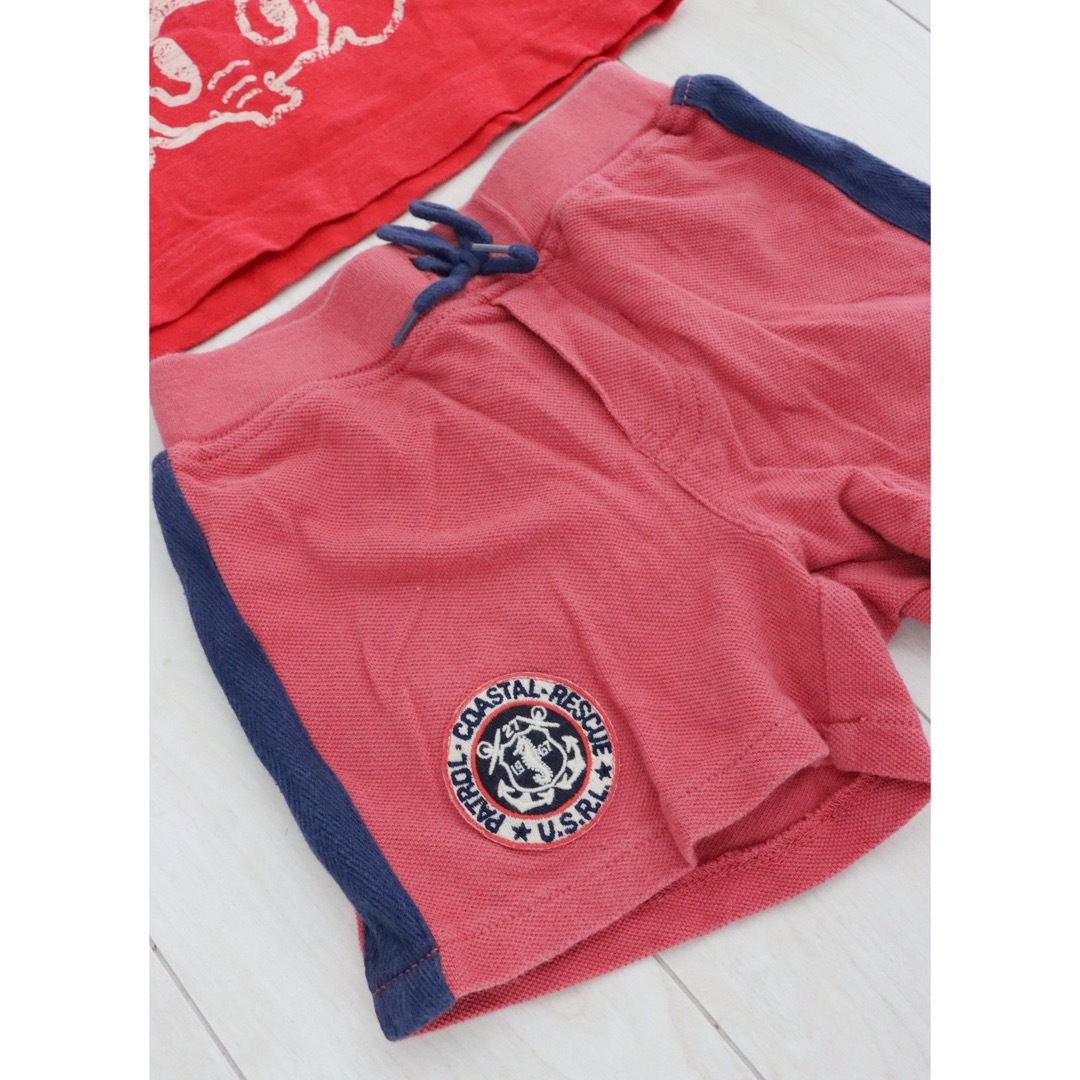 POLO RALPH LAUREN(ポロラルフローレン)の80サイズ　ムージョンジョン　POLO tシャツ 短パン キッズ/ベビー/マタニティのベビー服(~85cm)(Ｔシャツ)の商品写真