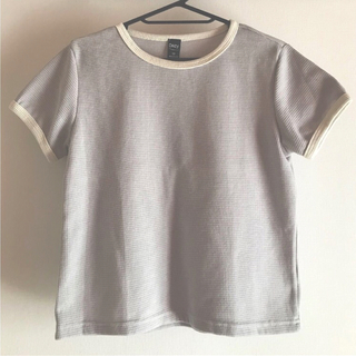 【美品】SHEIN DAZY カラーエッジがアクセントのレディース 半袖tシャツ(Tシャツ/カットソー(半袖/袖なし))
