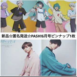 シュフトセイカツシャ(主婦と生活社)の新品☆匿名発送☆PASH!2024年6月号ピンナップ1枚/あんスタ＆彼のいる生活(ポスター)