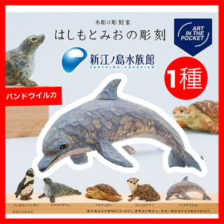 新品【バンドウイルカ】はしもとみおの彫刻　新江ノ島水族館　第１弾　1種　ガチャ