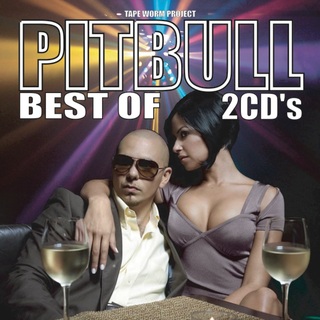 Pitbull ピットブル 豪華2枚組110曲 Best Mega MIxCD(ヒップホップ/ラップ)