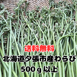 北海道産わらび　500ｇ以上(野菜)