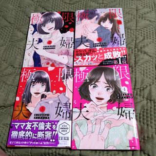 極限夫婦1〜4巻セット(青年漫画)