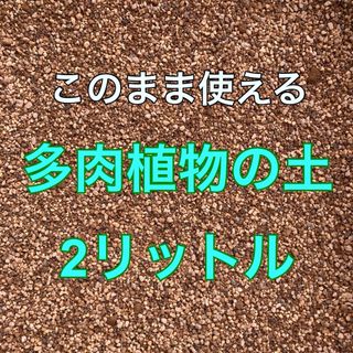 多肉植物の土　2リットル(その他)