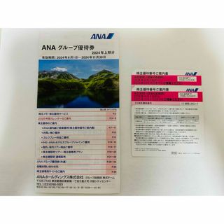 エーエヌエー(ゼンニッポンクウユ)(ANA(全日本空輸))のANA 株主優待券(その他)