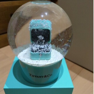 Tiffany & Co. - ティファニースノ―ド―ム