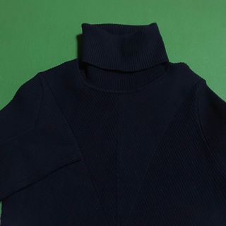 ザラ(ZARA)のザラ ニット タートルネック 紺(ニット/セーター)