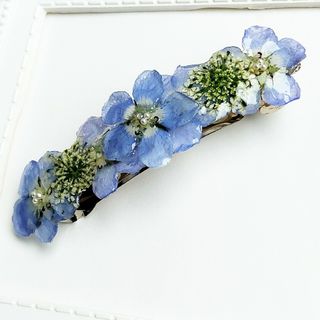 お花のバレッタ　本物　ネモフィラ　レースフラワー　ハンドメイド(ヘアアクセサリー)