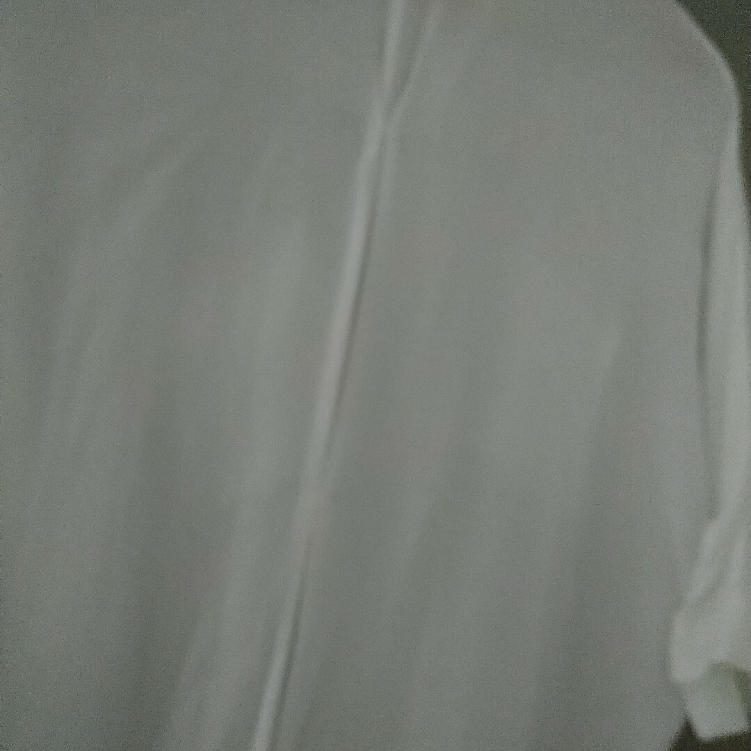 heather(ヘザー)のヘザー　シアーブラウス　ドルマンスリーブ　白　衿つき　きれいめ　フリーサイズ レディースのトップス(シャツ/ブラウス(長袖/七分))の商品写真