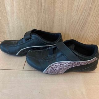 プーマ(PUMA)のプーマ　スニーカー　19cm(スニーカー)