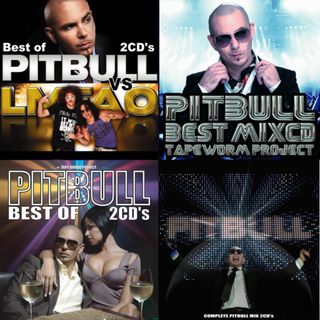 限定1SET Pitbull ピットブル Best MixCD 4個(クラブ/ダンス)