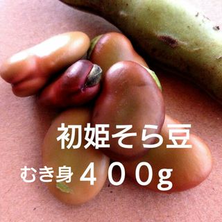 無農薬　そら豆　初姫そら豆 　むき身　赤い色がキレイなそら豆　４００g