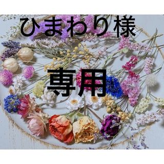 ドライフラワー 花材 花材詰め合わせ 茎あり(ドライフラワー)