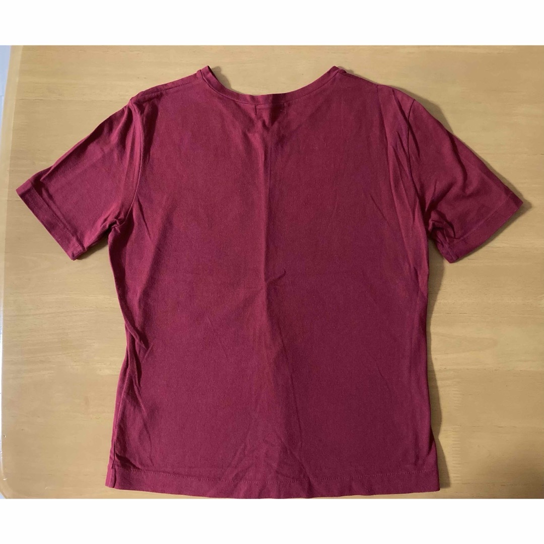 Vert Dense(ヴェールダンス)のused ヴェールダンス　Tシャツ　M 赤系 レディースのトップス(Tシャツ(半袖/袖なし))の商品写真
