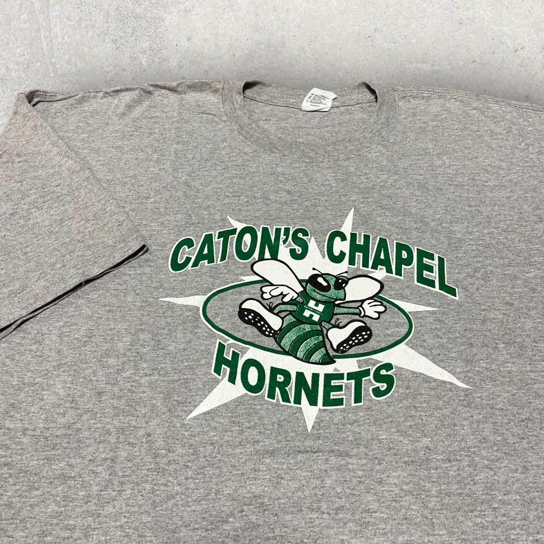Anvil(アンビル)のUS古着 anvil CATON'S CHAPEL HORNETS Tシャツ メンズのトップス(Tシャツ/カットソー(半袖/袖なし))の商品写真
