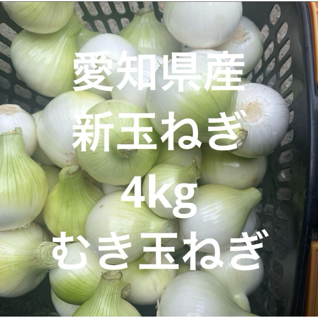 愛知県産　新玉ねぎ　4kg むき玉ねぎ 食品/飲料/酒の食品(野菜)の商品写真