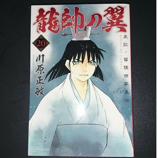 龍帥の翼20(少年漫画)