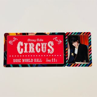 Stray Kids - stray kids スキズ　アイエン　会場限定　ステッカー