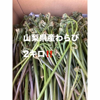 わらび　2キロ‼️(野菜)