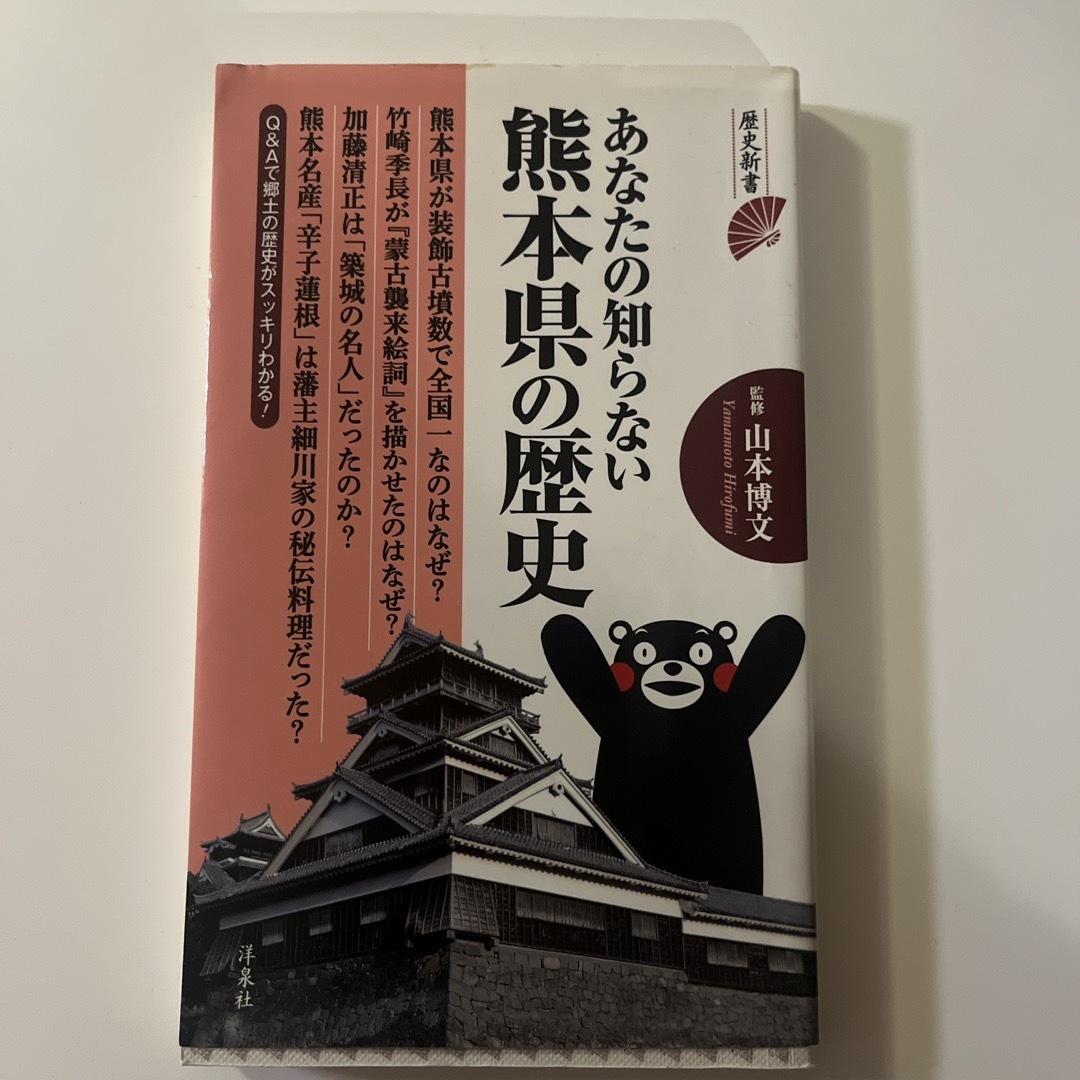 あなたの知らない熊本県の歴史 エンタメ/ホビーの本(その他)の商品写真