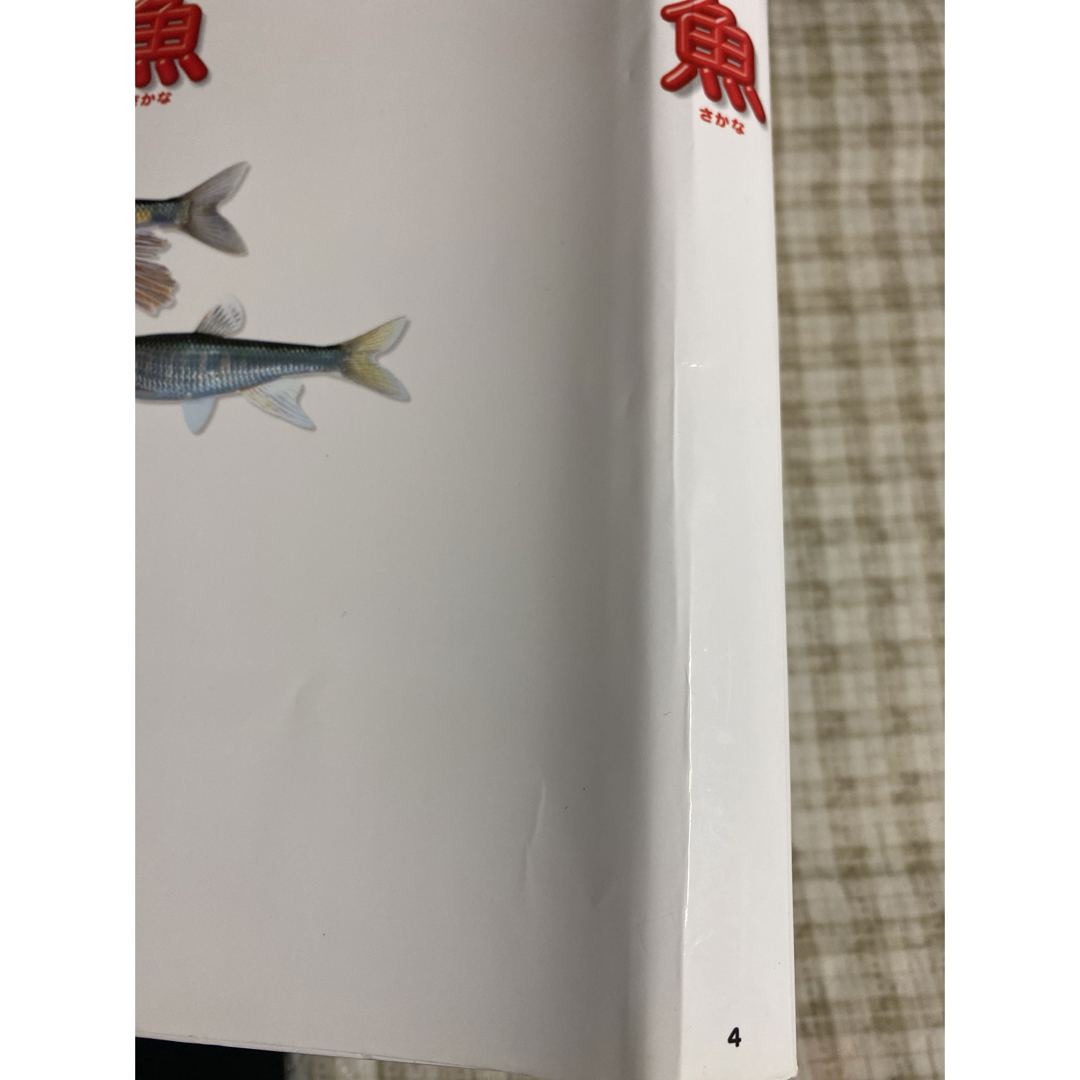 魚　　小学館の図鑑　　neo  エンタメ/ホビーの本(絵本/児童書)の商品写真