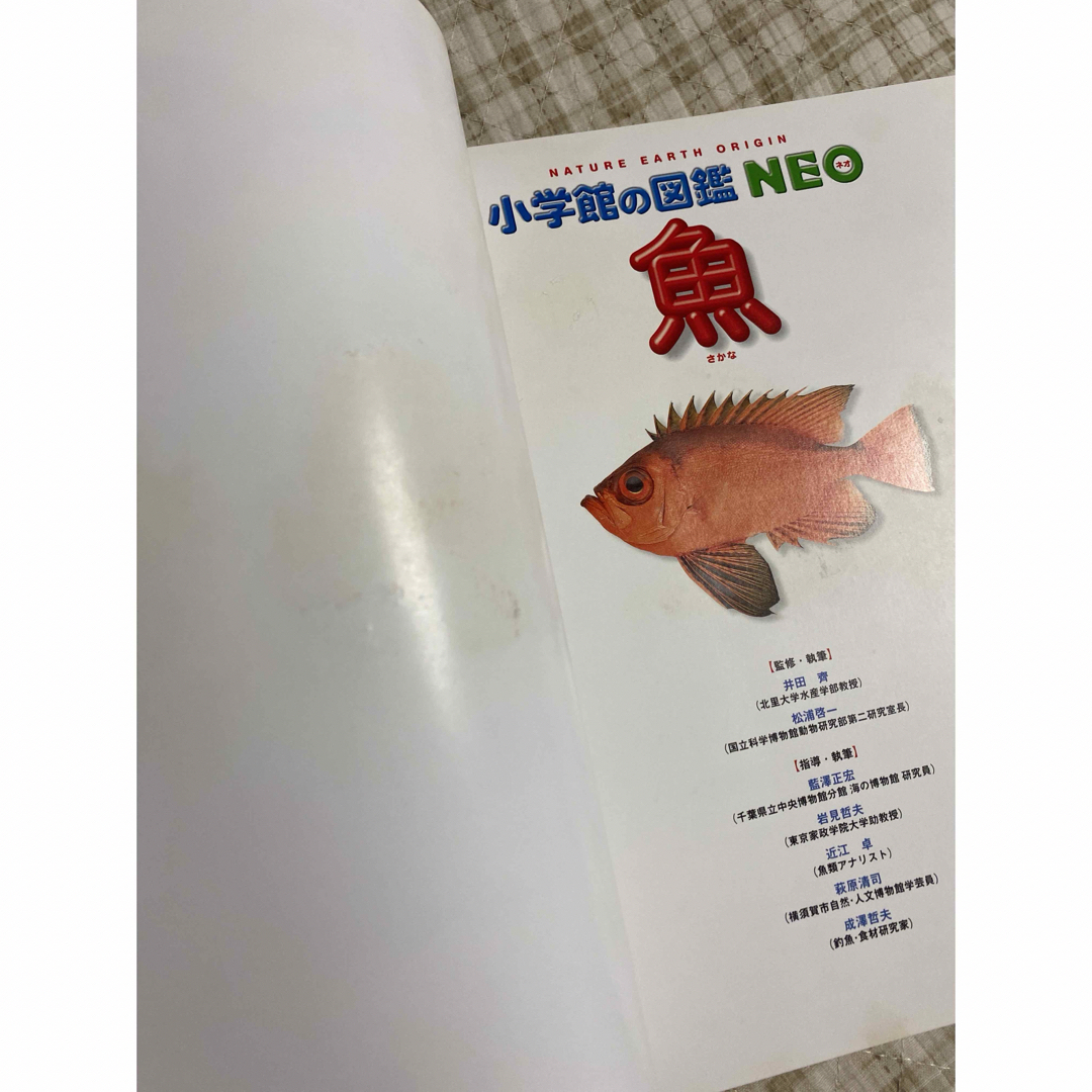 魚　　小学館の図鑑　　neo  エンタメ/ホビーの本(絵本/児童書)の商品写真