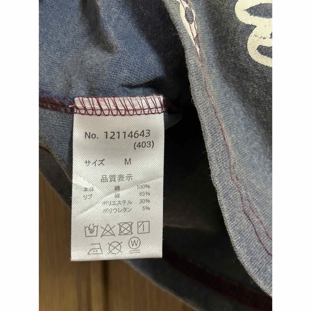 CUBE SUGAR(キューブシュガー)のCUBE SUGAR パウダー加工切替クルーネックTシャツ　ボルドー レディースのトップス(Tシャツ(半袖/袖なし))の商品写真