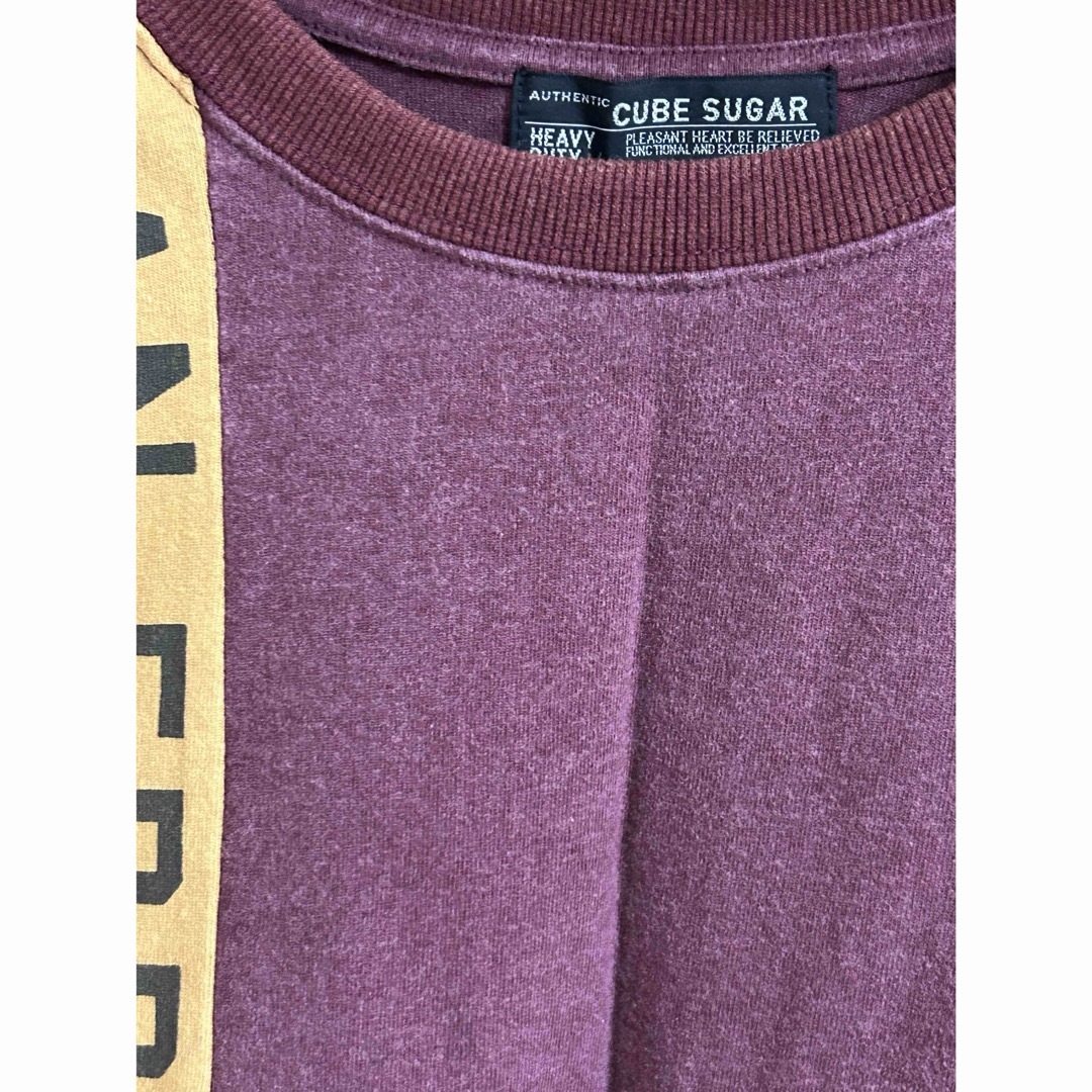 CUBE SUGAR(キューブシュガー)のCUBE SUGAR パウダー加工切替クルーネックTシャツ　ボルドー レディースのトップス(Tシャツ(半袖/袖なし))の商品写真