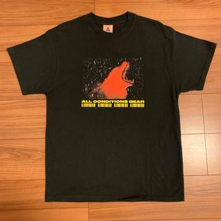 ナイキ(NIKE)のNIKE ACG Tシャツ Lサイズ WOLF ウルフ 狼 オオカミ(Tシャツ/カットソー(半袖/袖なし))