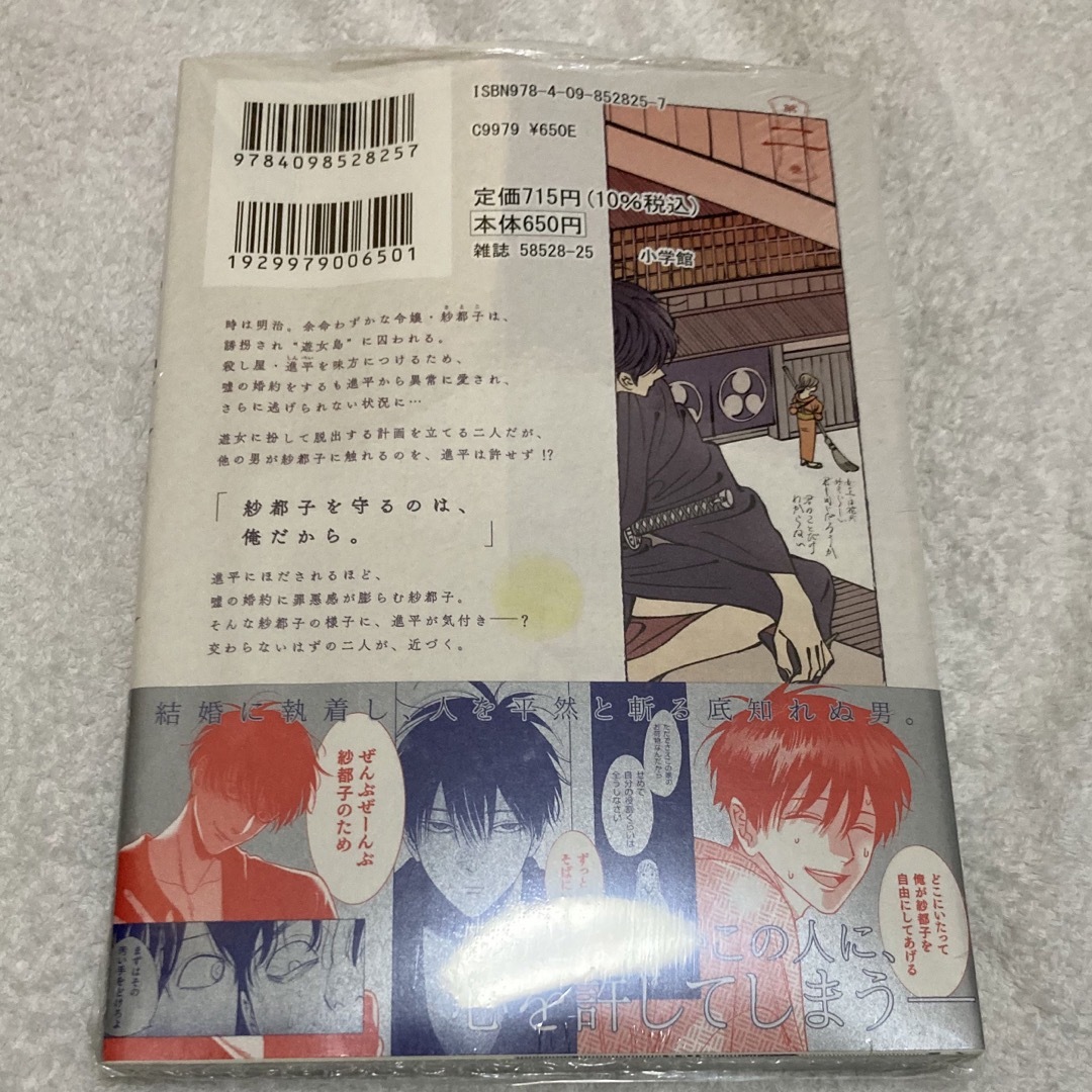 ホタルの嫁入り 2巻　特典　未来屋書店 エンタメ/ホビーの漫画(その他)の商品写真