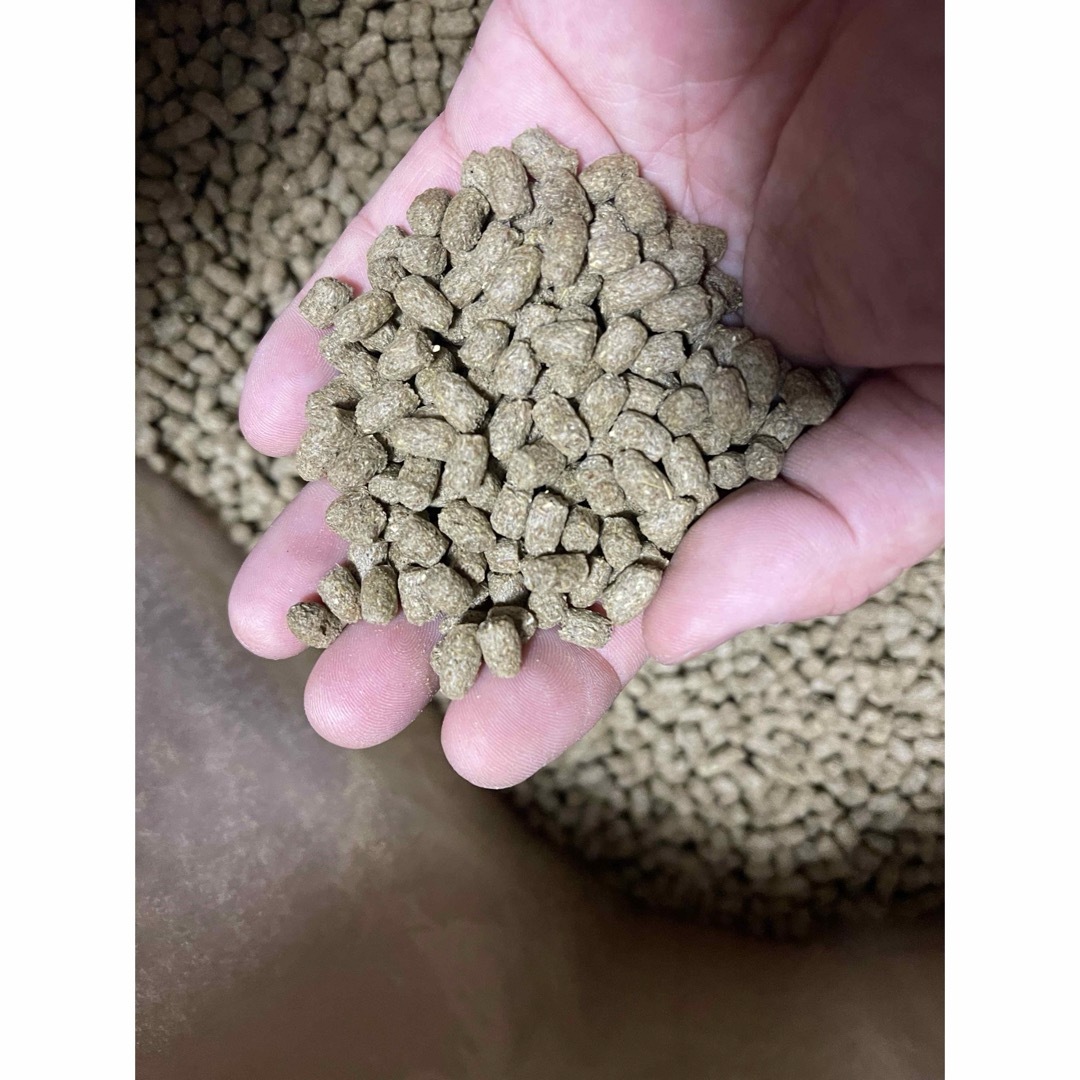 最安価格 オリエンタル酵母 カモ、アヒル、コールダック飼料 4キロ BC-6、 ペット用品