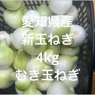 愛知県産　新玉ねぎ　4kg むき玉ねぎ(野菜)