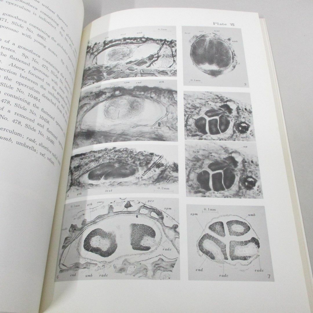【爆買い!】 ○01)【同梱不可】日本産1新属1新種の記載をともなうカゴメウミ 生物学