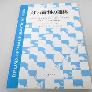 ●01)【同梱不可】げっ歯類の臨床/チンチラ、シマリス、スナネズミ、ハムスター、マウス、ラットの診療指針/斎藤久美子/インターズー/A