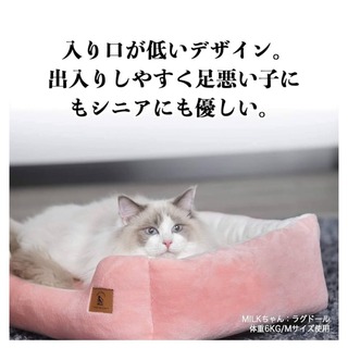 新品✨ペットベッド ふみふみ猫ベッド 犬 クッション モチモチ綿 ふわふわ通年(猫)