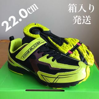 MOONSTAR  - 新品 箱入り22㎝ ムーンスター スニーカー