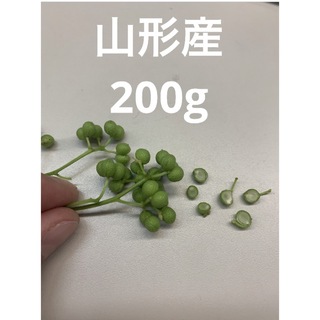 山形県産 山椒の実 無農薬　200g(野菜)
