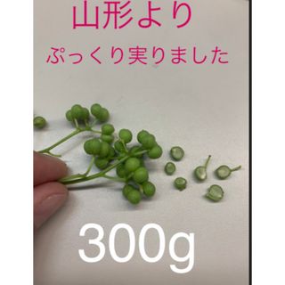 山形県産 山椒の実 無農薬　300g(野菜)