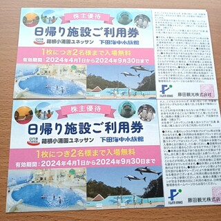 藤田観光 株主優待券 　2枚　ユネッサン 下田海中水族館