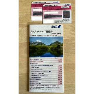 ANA株主優待券枚 1枚1300円　2枚セット(航空券)